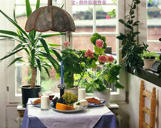 家里植物這樣擺，打造”另類“居室（一）