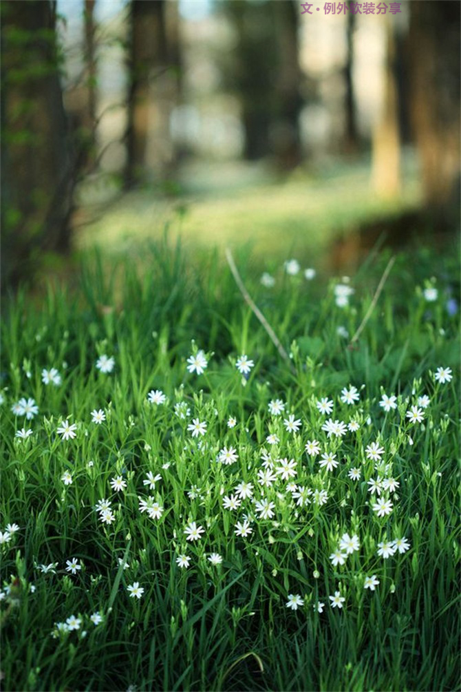美輪美奐自然綠，綠色控如何奢華過一生？