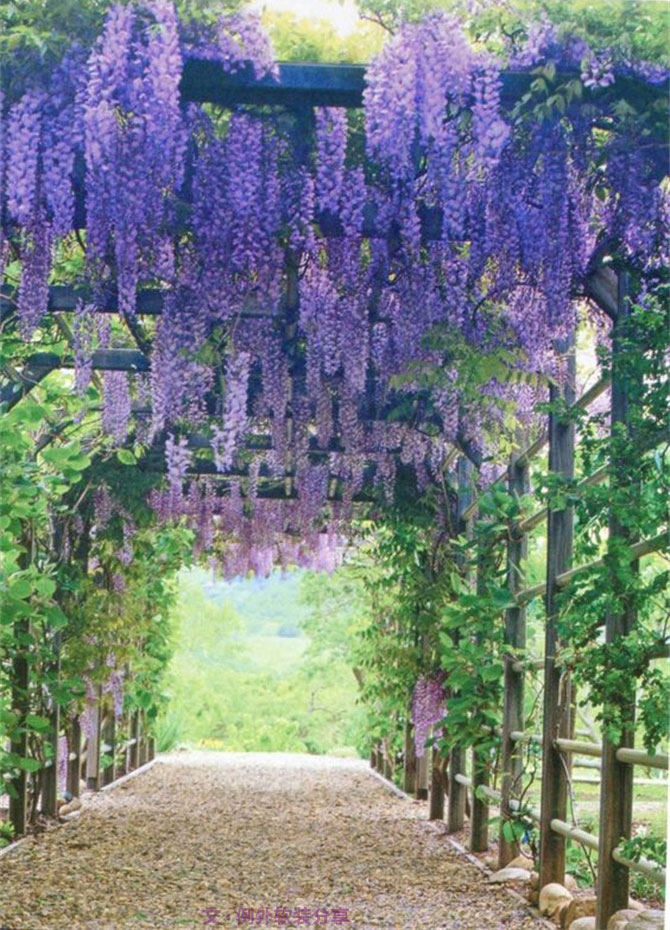 等我們老了，就在這樣的家居環(huán)境里過！