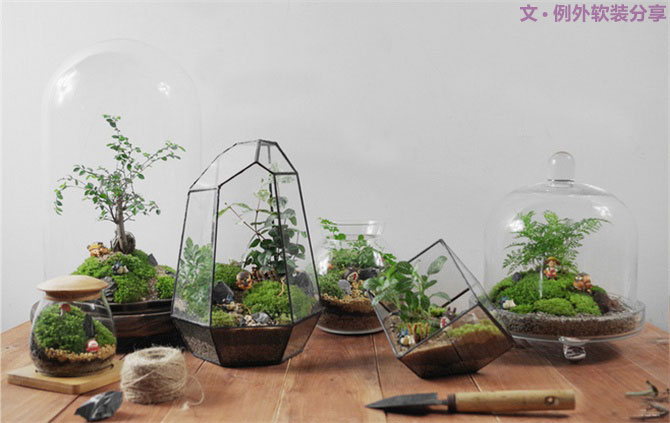 別再花錢(qián)買普通的花盆了，這才是種花神器！