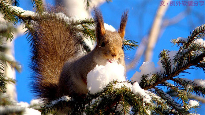 深圳又雙叒叕要入冬了，這次成功登陸？