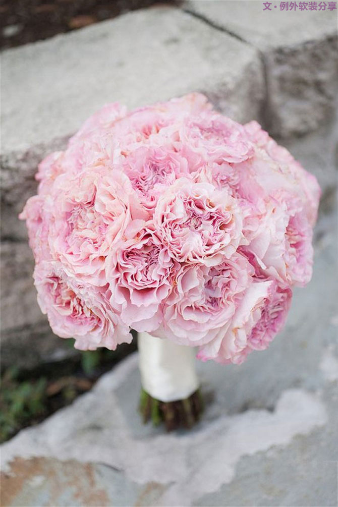 設(shè)計師揭秘8種適合冬季擺放的鮮花！