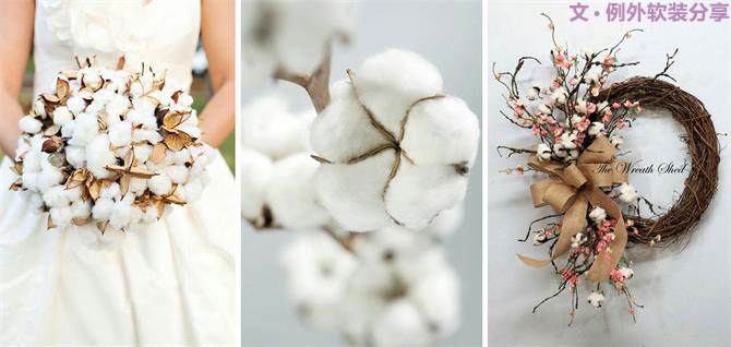 【例外.花箋記】棉花，永不凋零的白色經(jīng)典