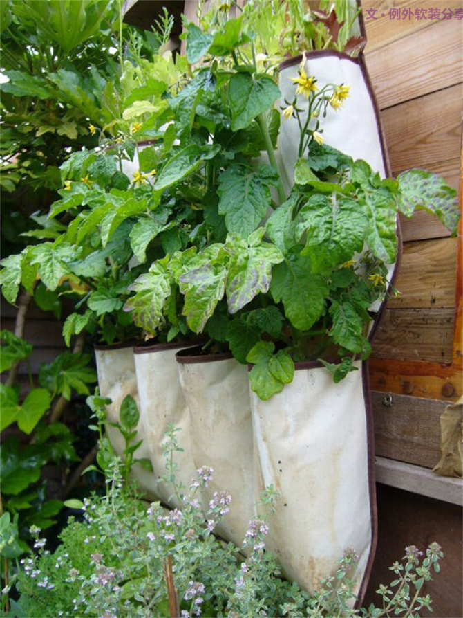 對(duì)于舊物家居設(shè)計(jì)師這樣用，給家添一抹生機(jī)！-別墅設(shè)計(jì),軟裝設(shè)計(jì),室內(nèi)設(shè)計(jì),豪宅設(shè)計(jì),深圳例外軟裝設(shè)計(jì)公司