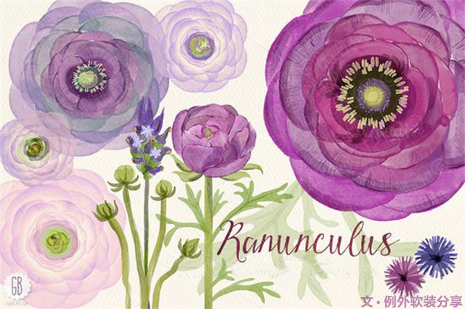 【例外·花箋記】洋牡丹，花叢中的人氣精靈-別墅設計,軟裝設計,室內(nèi)設計,豪宅設計,深圳例外軟裝設計公司