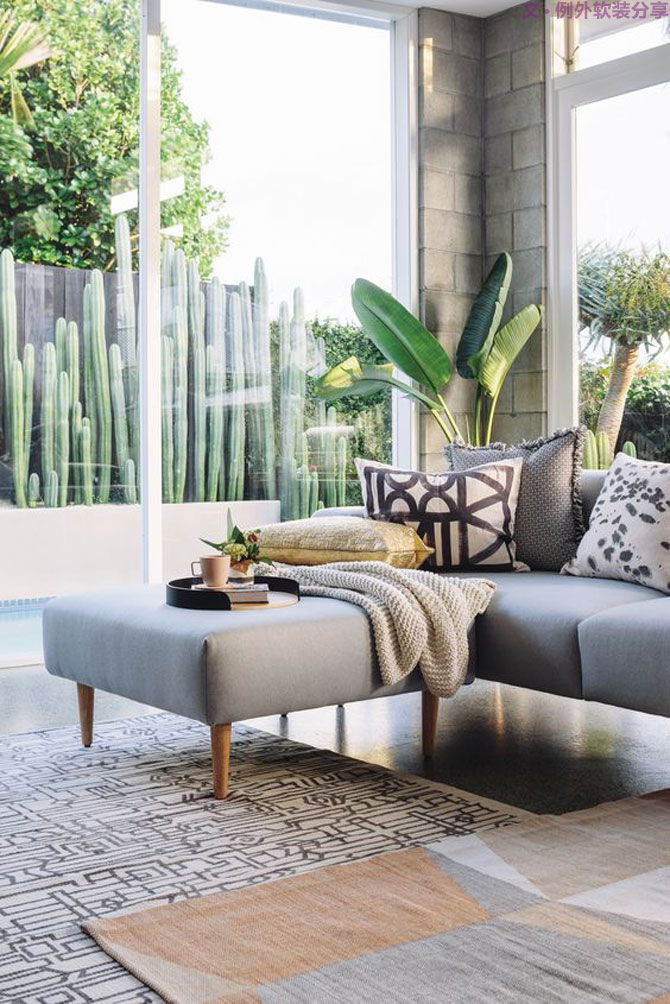 這些自帶天然氣質(zhì)的網(wǎng)紅綠植，都成了設計界的新寵兒！-別墅軟裝設計,軟裝設計,室內(nèi)軟裝設計,室內(nèi)設計,豪宅設計,深圳例外軟裝設計公司