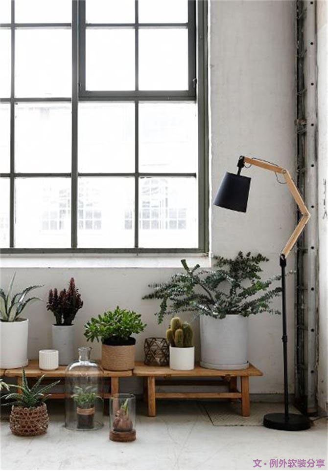 家里植物這樣擺，打造”另類“居室（一）-別墅設(shè)計(jì),軟裝設(shè)計(jì),室內(nèi)設(shè)計(jì),豪宅設(shè)計(jì),深圳例外軟裝設(shè)計(jì)公司