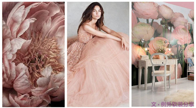 【例外·花箋記】洋牡丹，花叢中的人氣精靈-別墅設計,軟裝設計,室內(nèi)設計,豪宅設計,深圳例外軟裝設計公司