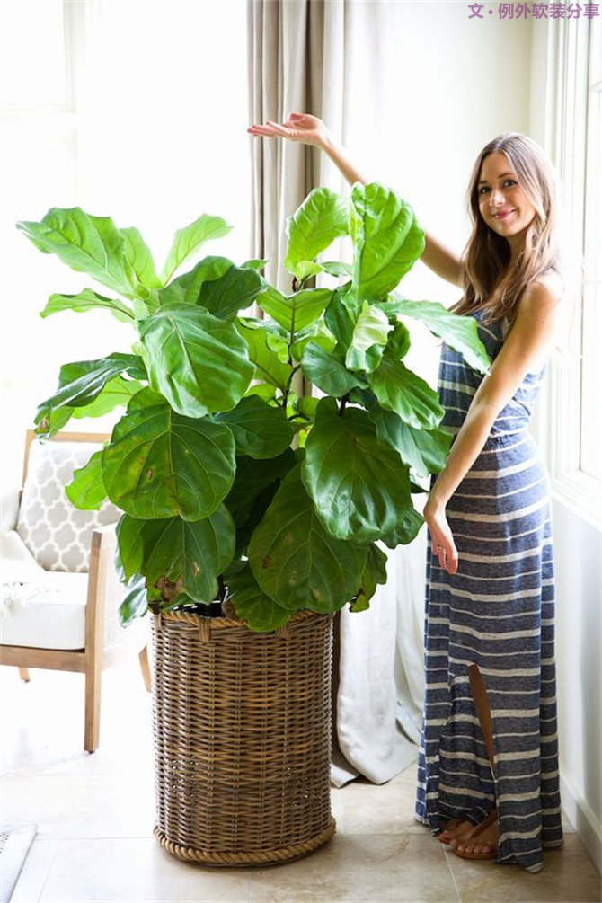 美輪美奐自然綠，綠色控如何奢華過一生？-別墅設(shè)計,軟裝設(shè)計,室內(nèi)設(shè)計,豪宅設(shè)計,深圳例外軟裝設(shè)計公司