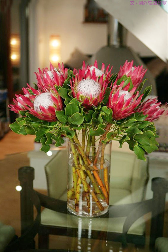 設(shè)計師揭秘8種適合冬季擺放的鮮花！-別墅設(shè)計,軟裝設(shè)計,室內(nèi)設(shè)計,豪宅設(shè)計,深圳例外軟裝設(shè)計公司