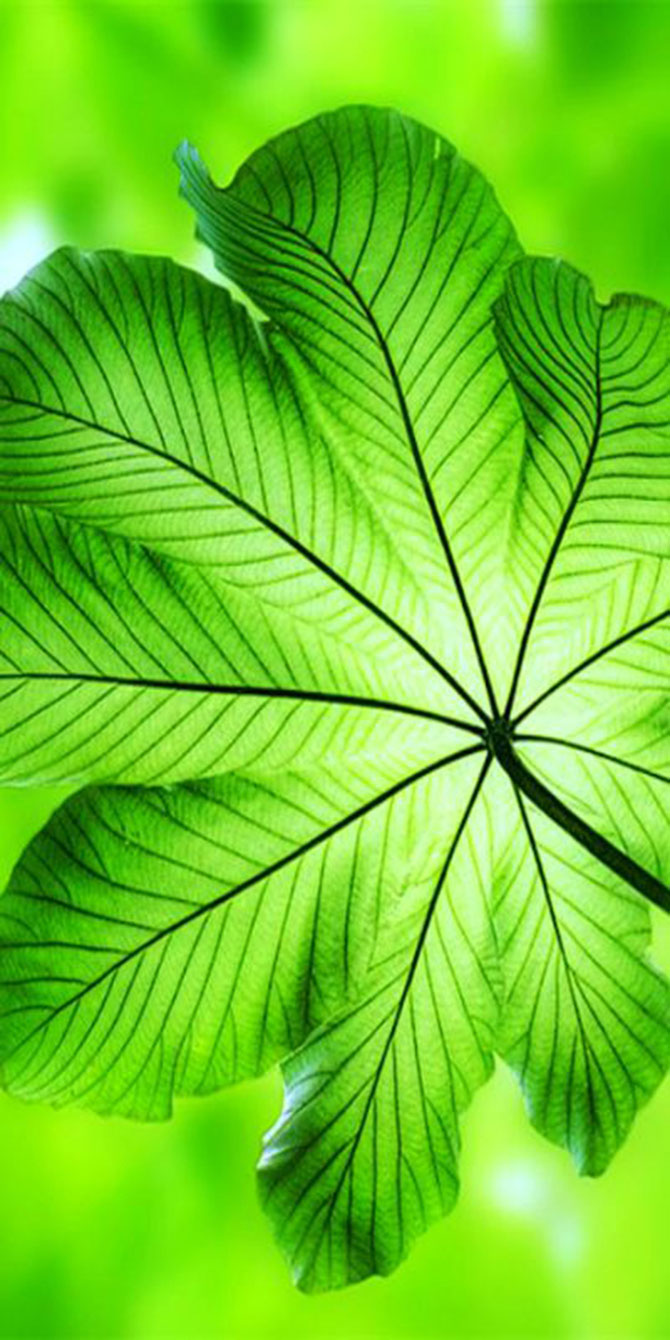 專家教你打造初春景象，它是世界無所不在的色調(diào)！-別墅設(shè)計(jì),軟裝設(shè)計(jì),室內(nèi)設(shè)計(jì),豪宅設(shè)計(jì),深圳例外軟裝設(shè)計(jì)公司