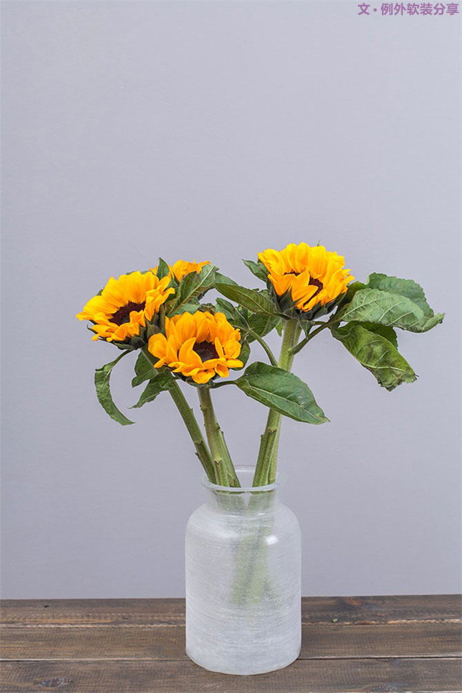 設(shè)計師揭秘8種適合冬季擺放的鮮花！-別墅設(shè)計,軟裝設(shè)計,室內(nèi)設(shè)計,豪宅設(shè)計,深圳例外軟裝設(shè)計公司