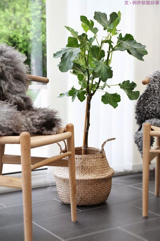 “她”，讓人與自然的和諧在室內(nèi)設計中成為可能！-別墅設計,軟裝設計,室內(nèi)設計,豪宅設計,深圳例外軟裝設計公司