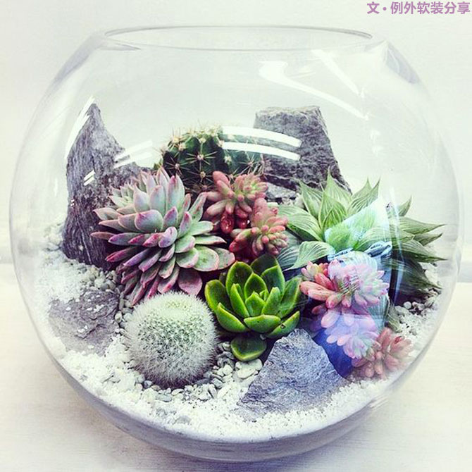 地球人都得了一種，看見“她”就想抱回家養(yǎng)的??！-別墅設(shè)計,軟裝設(shè)計,室內(nèi)設(shè)計,豪宅設(shè)計,深圳例外軟裝設(shè)計公司