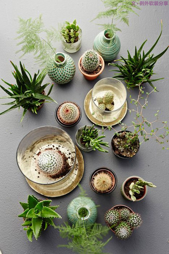 專家教你打造初春景象，它是世界無所不在的色調(diào)！-別墅設(shè)計(jì),軟裝設(shè)計(jì),室內(nèi)設(shè)計(jì),豪宅設(shè)計(jì),深圳例外軟裝設(shè)計(jì)公司