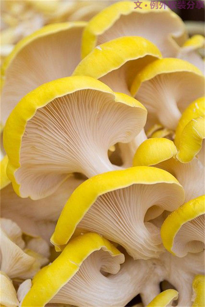 深圳又雙叒叕要入冬了，這次成功登陸？-別墅設(shè)計,軟裝設(shè)計,室內(nèi)設(shè)計,豪宅設(shè)計,深圳例外軟裝設(shè)計公司