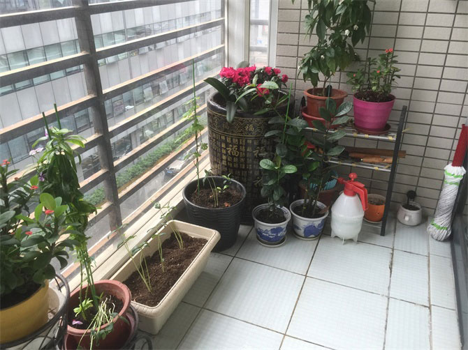 CCTV2《交換空間》收官之作--48小時，教你打造專屬的“秘密花園”-別墅設(shè)計(jì),軟裝設(shè)計(jì),室內(nèi)設(shè)計(jì),豪宅設(shè)計(jì),深圳例外軟裝設(shè)計(jì)公司