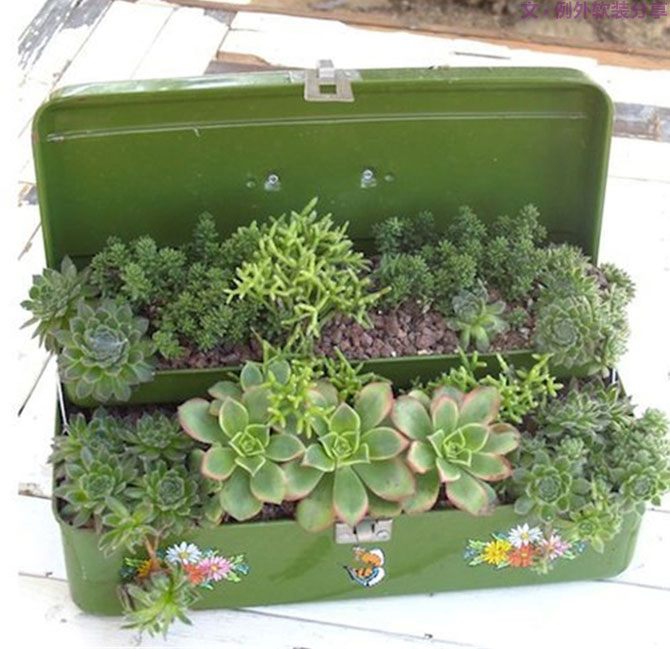 別再花錢買普通的花盆了，這才是種花神器！-別墅設(shè)計(jì),軟裝設(shè)計(jì),室內(nèi)設(shè)計(jì),豪宅設(shè)計(jì),深圳例外軟裝設(shè)計(jì)公司