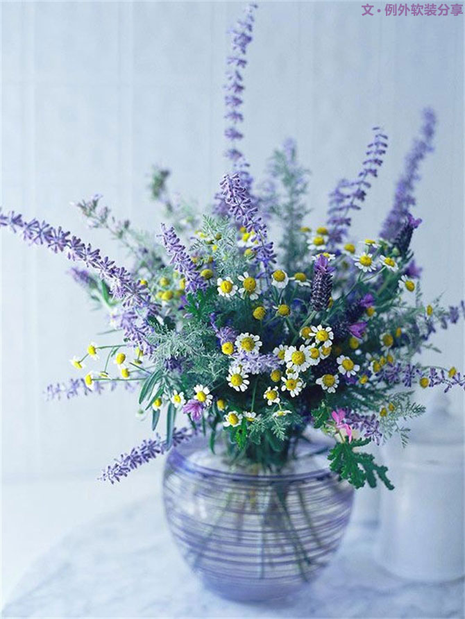 設(shè)計師揭秘8種適合冬季擺放的鮮花！-別墅設(shè)計,軟裝設(shè)計,室內(nèi)設(shè)計,豪宅設(shè)計,深圳例外軟裝設(shè)計公司