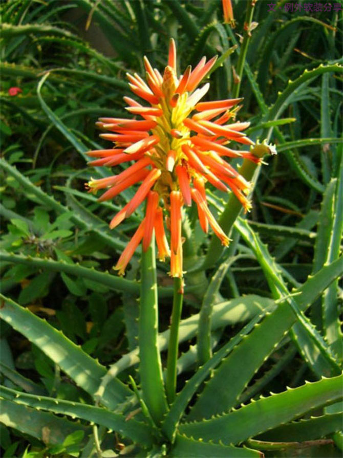 裝修后的房子多久可以入住？不看不知道！-別墅設(shè)計(jì),軟裝設(shè)計(jì),室內(nèi)設(shè)計(jì),豪宅設(shè)計(jì),深圳例外軟裝設(shè)計(jì)公司