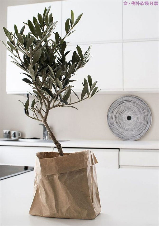 別再花錢買普通的花盆了，這才是種花神器！-別墅設(shè)計(jì),軟裝設(shè)計(jì),室內(nèi)設(shè)計(jì),豪宅設(shè)計(jì),深圳例外軟裝設(shè)計(jì)公司