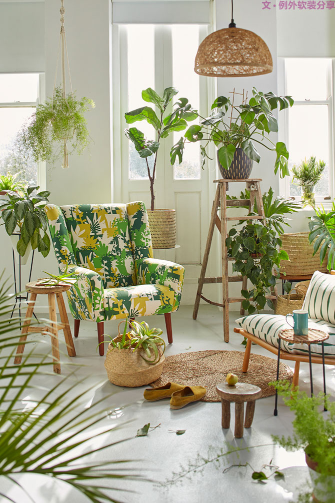 這些自帶天然氣質(zhì)的網(wǎng)紅綠植，都成了設計界的新寵兒！-別墅軟裝設計,軟裝設計,室內(nèi)軟裝設計,室內(nèi)設計,豪宅設計,深圳例外軟裝設計公司