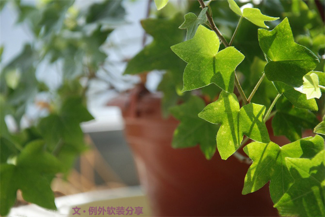 新房子裝修甲醛從哪里來？-別墅設(shè)計(jì),軟裝設(shè)計(jì),室內(nèi)設(shè)計(jì),豪宅設(shè)計(jì),深圳例外軟裝設(shè)計(jì)公司