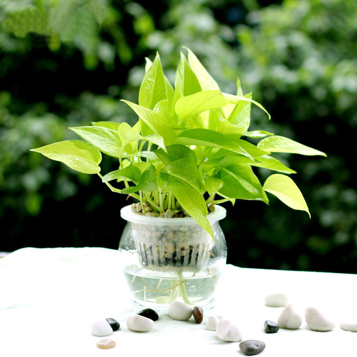 二胎時(shí)代兒童健康"隱形殺手"之甲醛，到底從何而來(lái)？-別墅設(shè)計(jì),軟裝設(shè)計(jì),室內(nèi)設(shè)計(jì),豪宅設(shè)計(jì),深圳例外軟裝設(shè)計(jì)公司