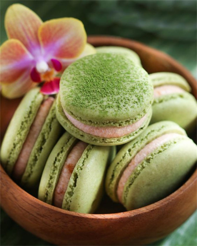 春風十里，不如室內(nèi)這抹綠“迷醉”你！-別墅設計,軟裝設計,室內(nèi)設計,豪宅設計,深圳例外軟裝設計公司