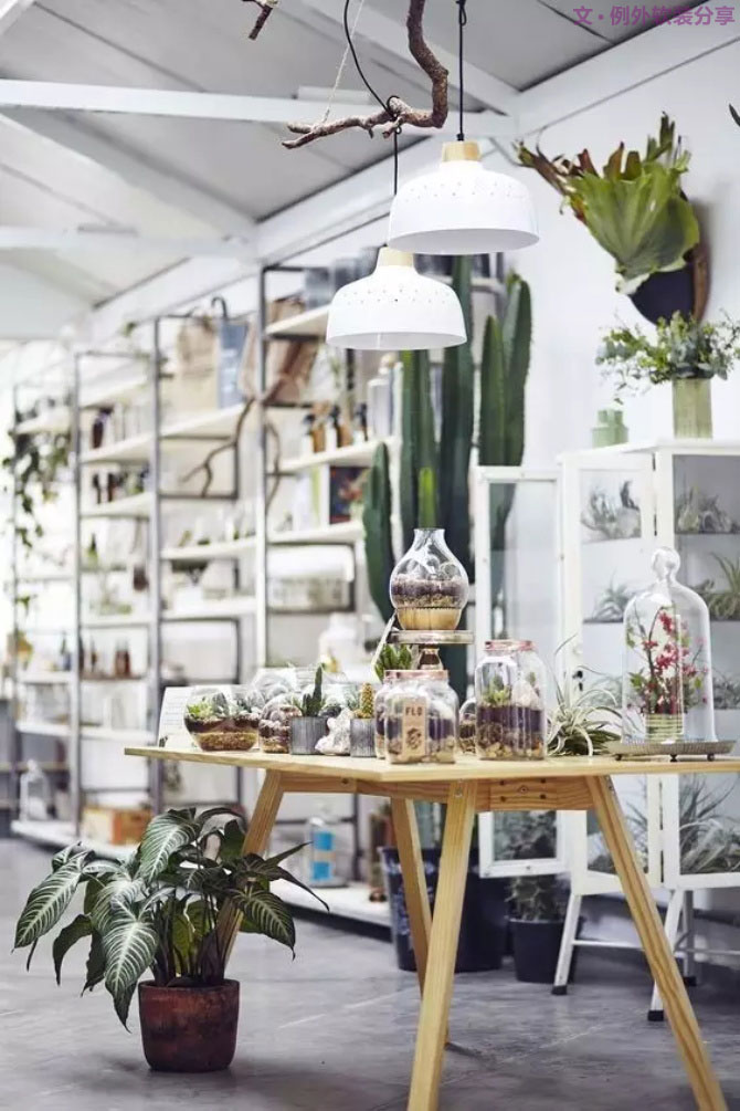 花花世界，打造浪漫空間就靠“她”了！-別墅設(shè)計(jì),軟裝設(shè)計(jì),室內(nèi)設(shè)計(jì),豪宅設(shè)計(jì),深圳例外軟裝設(shè)計(jì)公司