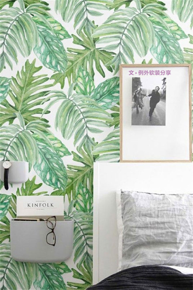 龜背竹遠(yuǎn)不止能去除甲醛，原來還有這么多作用！-別墅設(shè)計,軟裝設(shè)計,室內(nèi)設(shè)計,豪宅設(shè)計,深圳例外軟裝設(shè)計公司