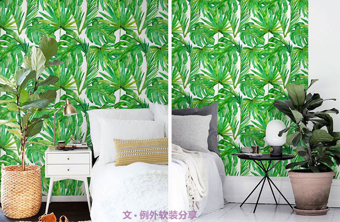 龜背竹遠(yuǎn)不止能去除甲醛，原來還有這么多作用！-別墅設(shè)計,軟裝設(shè)計,室內(nèi)設(shè)計,豪宅設(shè)計,深圳例外軟裝設(shè)計公司