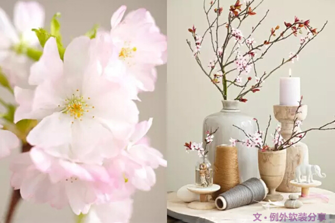 這才叫真正的花藝，你那只算小盆綠植（下）