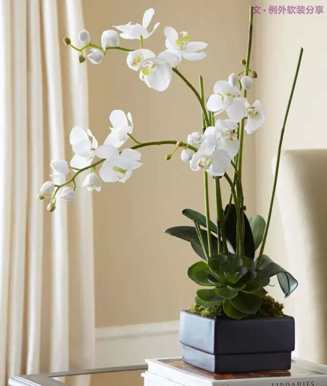 這才叫真正的花藝，你那只算小盆綠植（下）-別墅設(shè)計,軟裝設(shè)計,室內(nèi)設(shè)計,豪宅設(shè)計,深圳例外軟裝設(shè)計公司